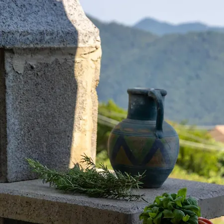 Casa Serenita' - Affitti Brevi Italia *
